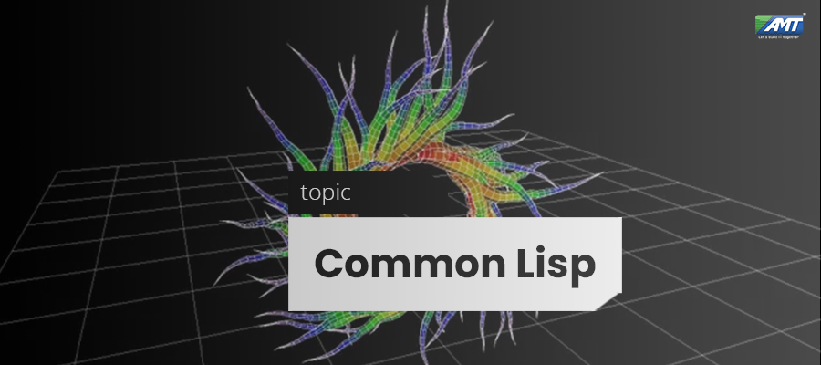 Insights To Common Lisp Advanced Millennium Technologies